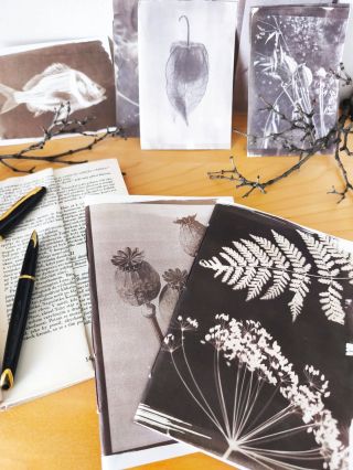 Kurz historické fotografické techniky Van Dyke Brown, přijď si vyrobit vlastní tisky a originální sešitky. ⏰9:30-12:00...