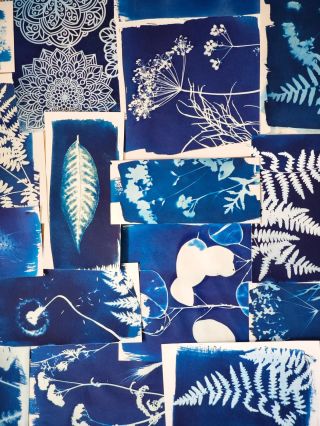 Kyanotypie v Jihlavě 💙 V neděli 16/11/25 se přidám se svým kurzem kyanotypie ke Kaligrafické mu víkendu - čeká nás tvoření...