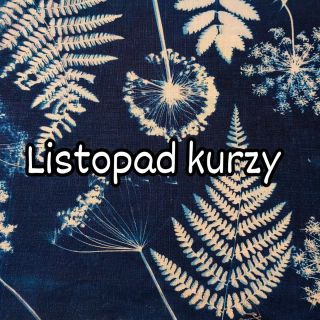 Listopadové kurzy, přijď tvořit, užít si podzimní dny. Nebo kup kurz jako dárek. Přihlášky a všechny informace na⬇️...