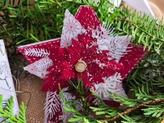 Zastav se na chvíli od shonu a ponoř se do vánoční atmosféry plné papírového tvoření. Čeká vás tvořivé dopoledne, kdy si...